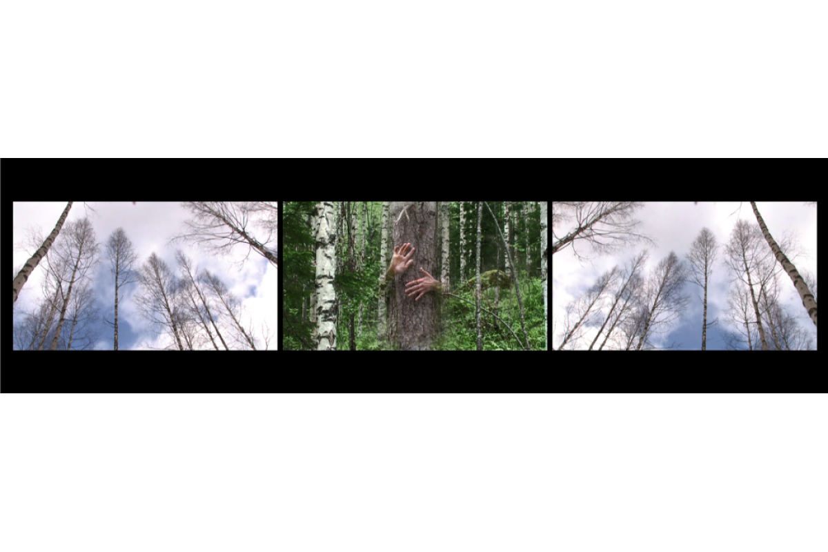 Image example of 3-channel video installation, 